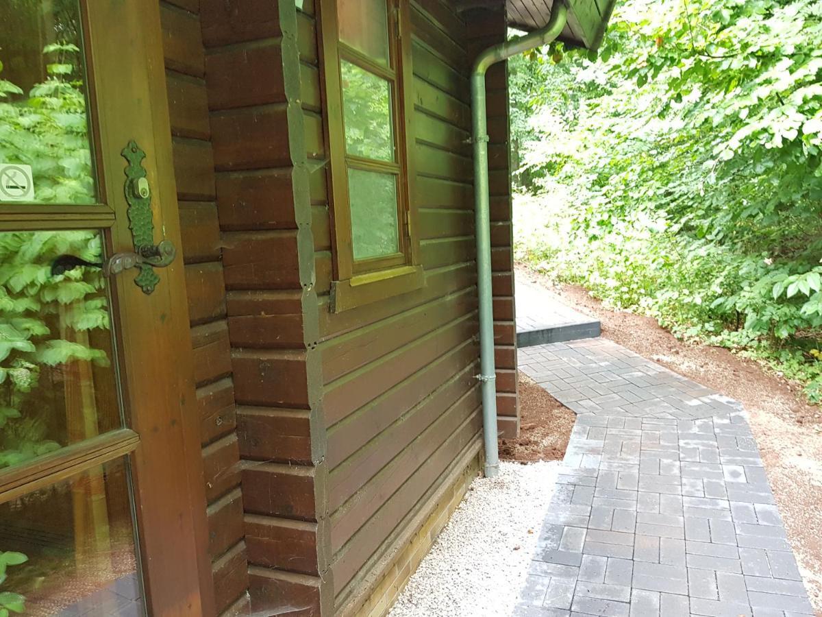 Bungalow; Haus 111 Ferienpark Twistesee, באד ארסולן מראה חיצוני תמונה